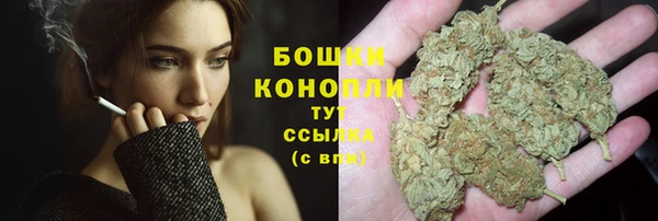ПСИЛОЦИБИНОВЫЕ ГРИБЫ Иннополис