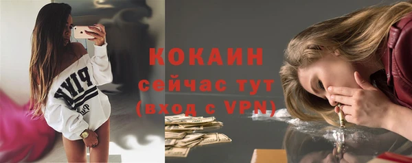 Альфа ПВП Инсар