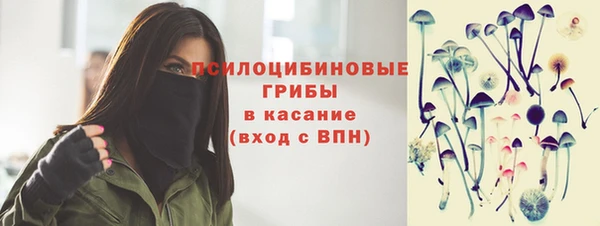 Альфа ПВП Инсар