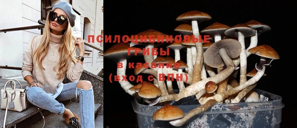 Альфа ПВП Инсар
