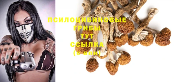 ПСИЛОЦИБИНОВЫЕ ГРИБЫ Иннополис