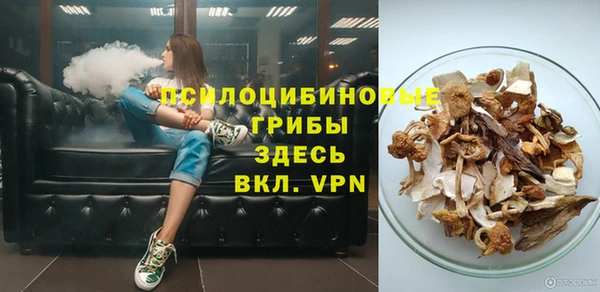 Альфа ПВП Инсар