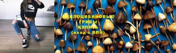 Альфа ПВП Инсар