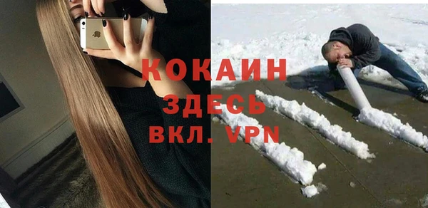 Альфа ПВП Инсар