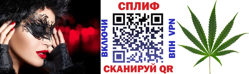 где продают наркотики  Пушкино  МАРИХУАНА сатива 